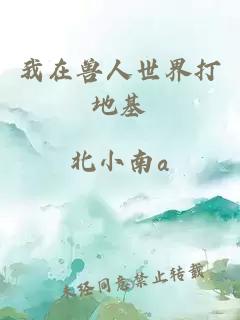 我在兽人世界打地基