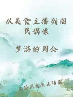 从美食主播到国民偶像