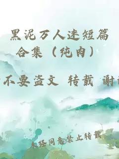 黑泥万人迷短篇合集(纯肉)