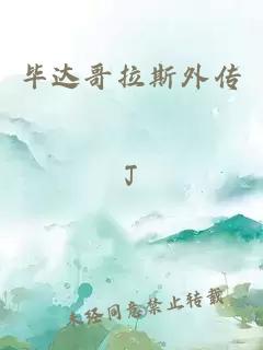 毕达哥拉斯外传