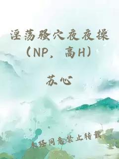 淫荡骚穴夜夜操（NP，高H）