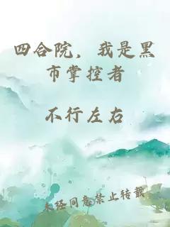 四合院，我是黑市掌控者