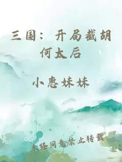 三国：开局截胡何太后