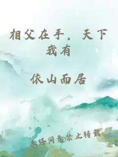 相父在手，天下我有