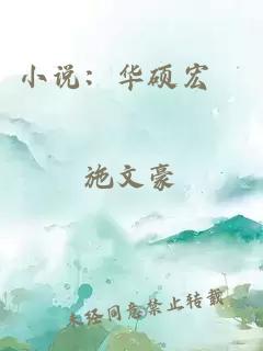 小说：华硕宏碁