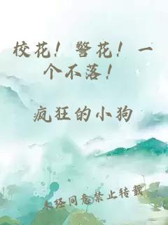 校花！警花！一个不落！