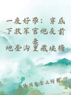 一夜好孕：穿成下放军官炮灰前妻