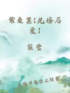 紫桑葚[先婚后爱]