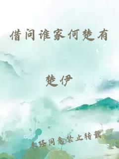 借问谁家何楚有