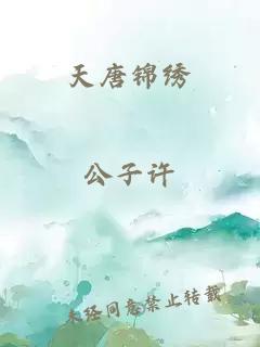 天唐锦绣