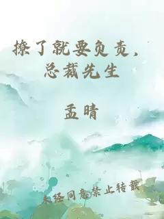 撩了就要负责，总裁先生