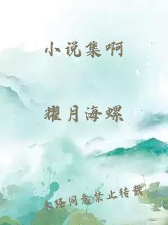 小说集啊