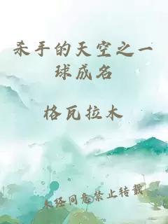 杀手的天空之一球成名