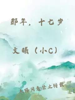 那年，十七岁