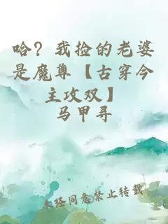哈？我捡的老婆是魔尊【古穿今主攻双】
