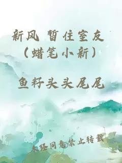新风 暂住室友 （蜡笔小新）