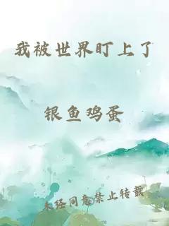 我被世界盯上了